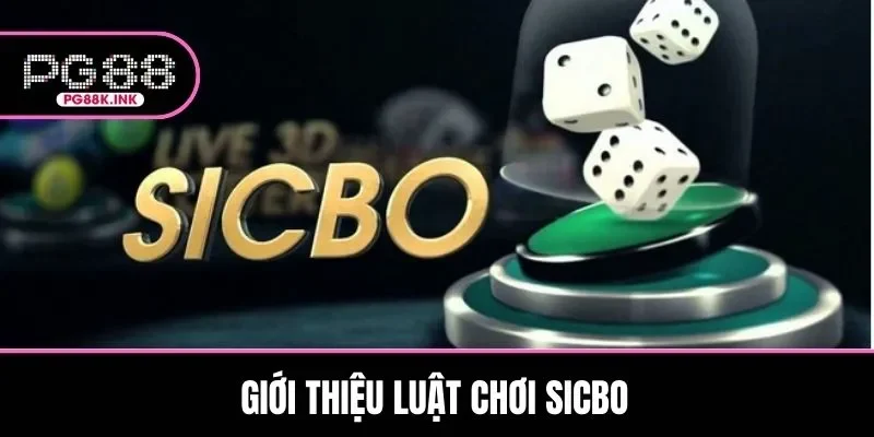 Giới thiệu khái quát về luật chơi game Sicbo trực tuyến